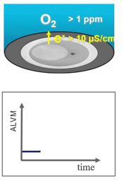 4 o biofilmu 1