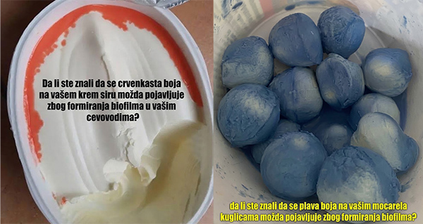 efekat biofilma